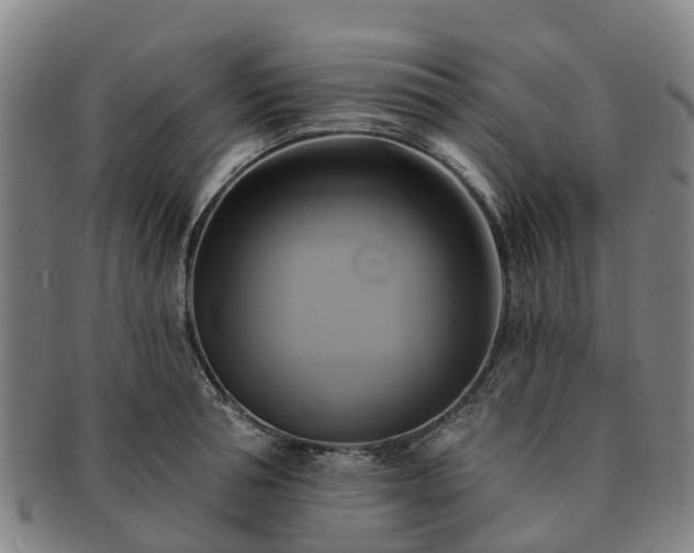 X0000091590994200708271239