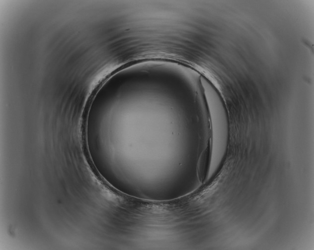 X0000091590995200708271239