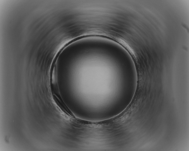 X0000091590996200708271239