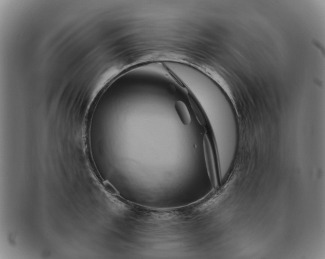 X0000091590997200708271239