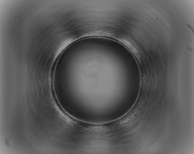 X0000091590998200708271239