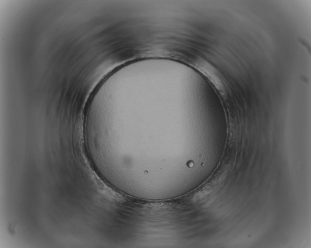 X0000091591000200708271239