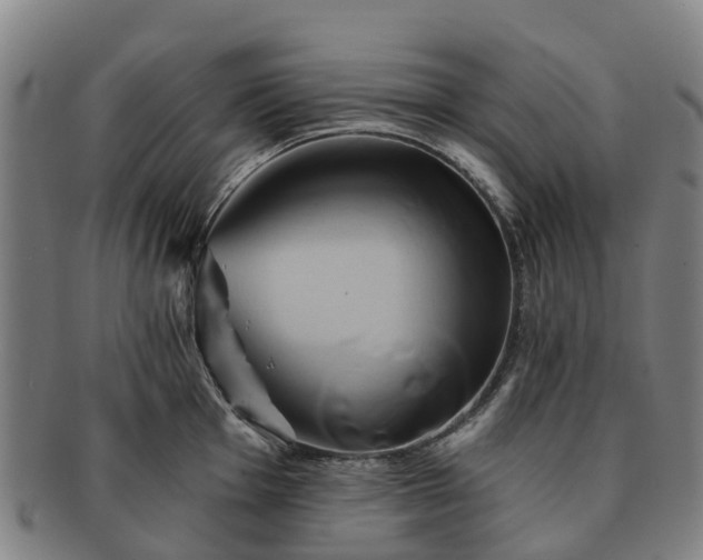 X0000091591001200708271239