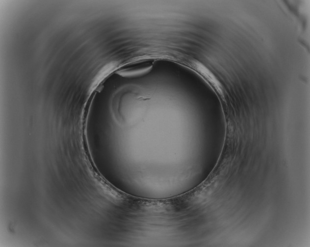 X0000091591002200708271239