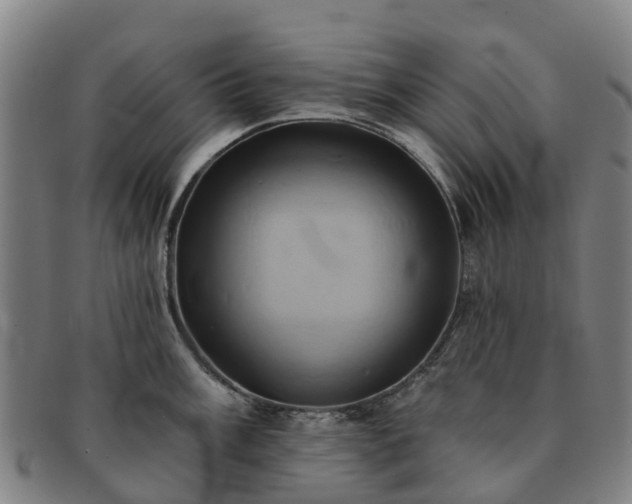 X0000091591003200708271239