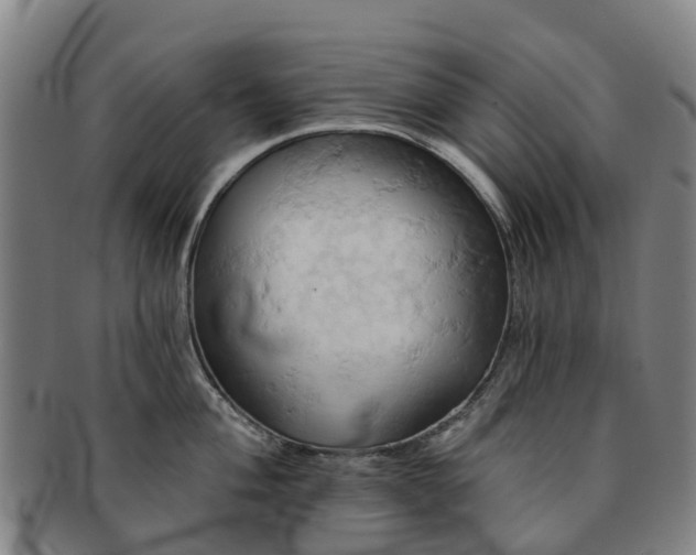 X0000091591004200708271239