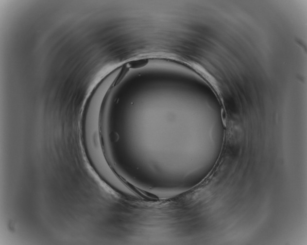 X0000091591005200708271239