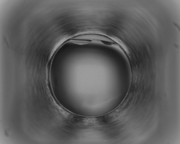 X0000091591006200708271239