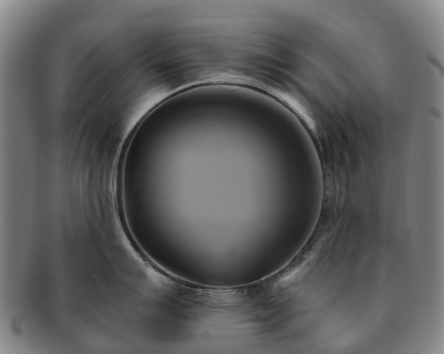 X0000091591007200708271239