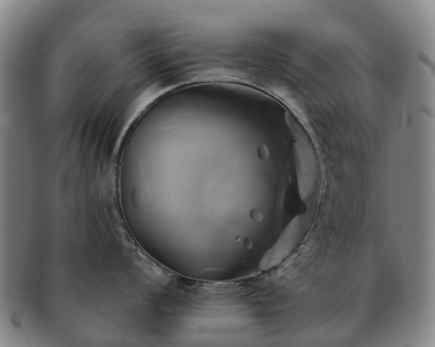 X0000091591008200708271239