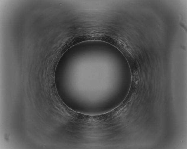 X0000091591009200708271238