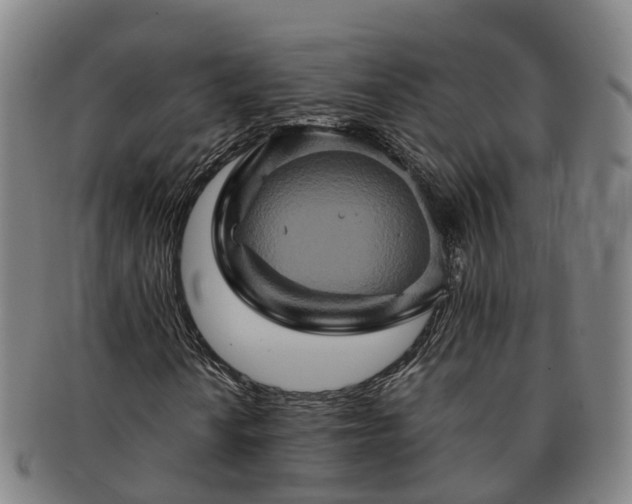 X0000091591010200708271238