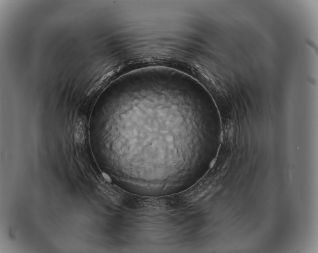 X0000091591012200708271238