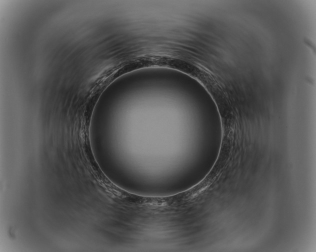 X0000091591014200708271238