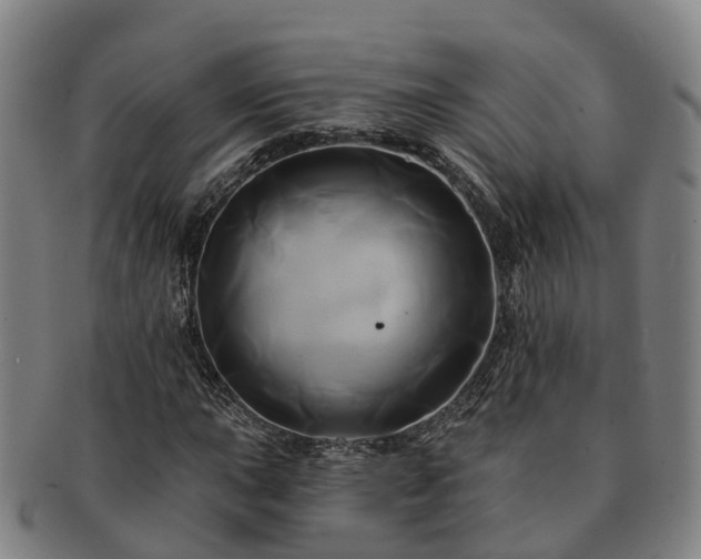 X0000091591015200708271238