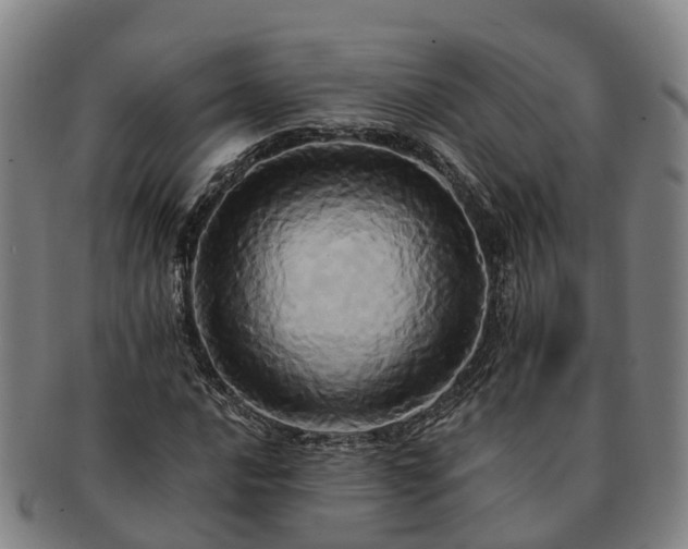 X0000091591016200708271238