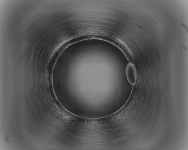 X0000091591019200708271238