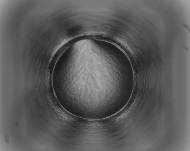 X0000091591021200708271238