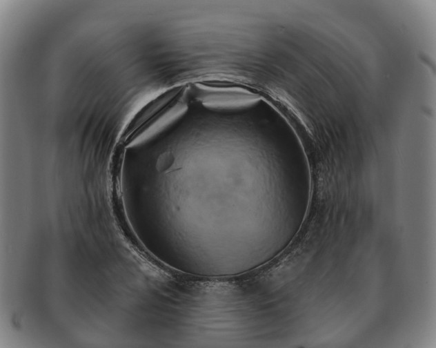 X0000091591024200708271238