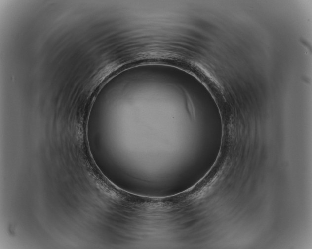 X0000091591025200708271238