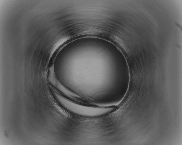 X0000091591026200708271238