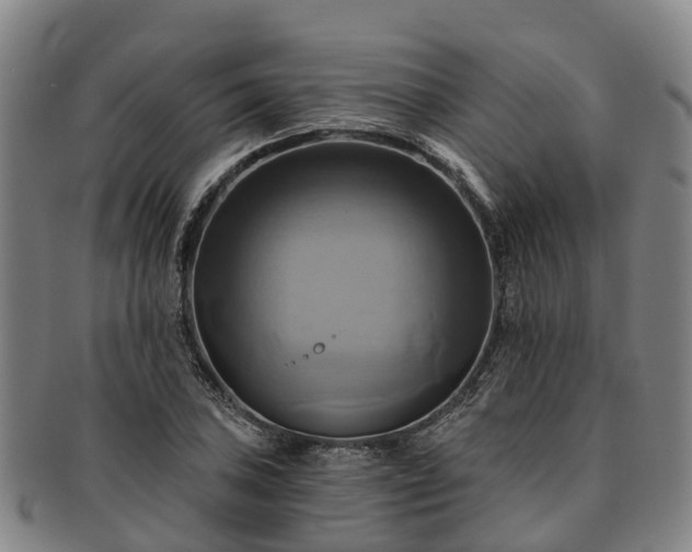 X0000091591027200708271238