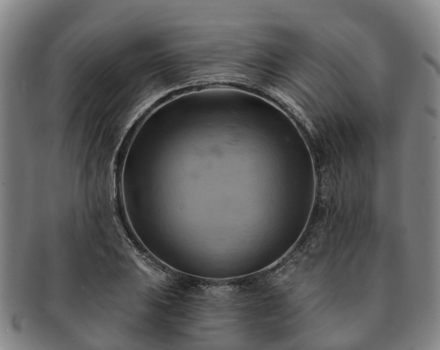 X0000091591031200708271238