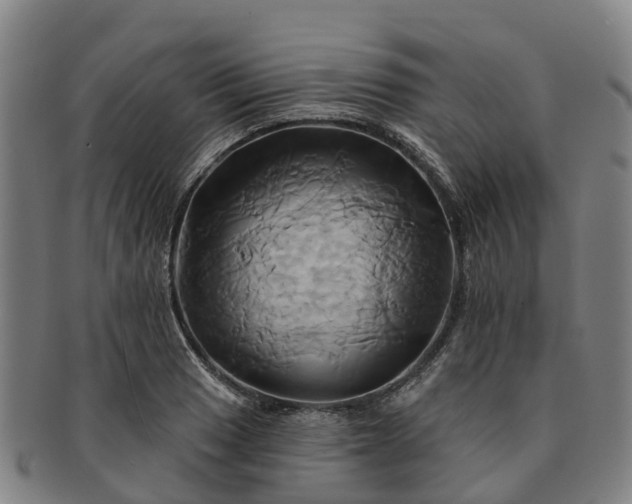 X0000091591033200708271239