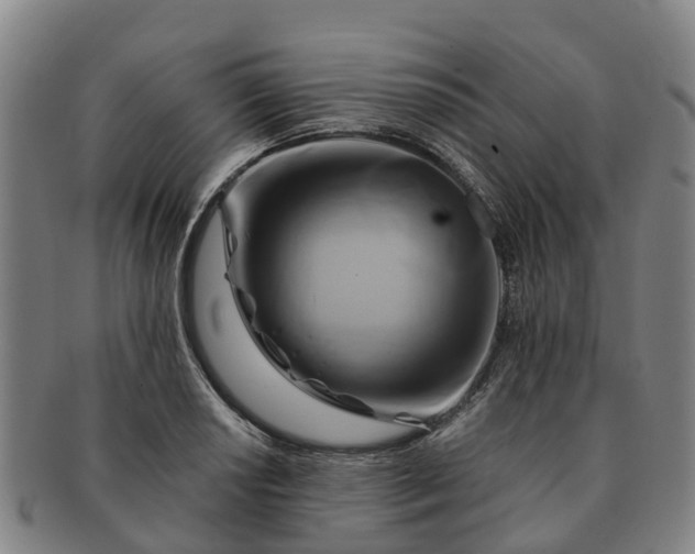 X0000091591034200708271239