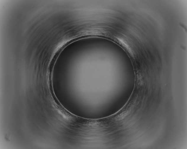 X0000091591035200708271239