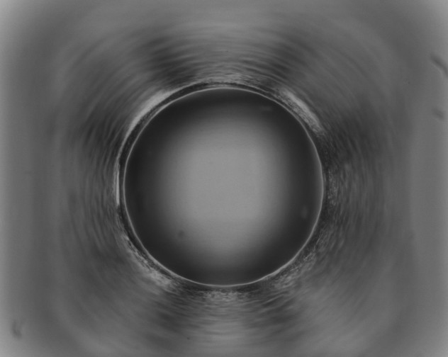 X0000091591036200708271239
