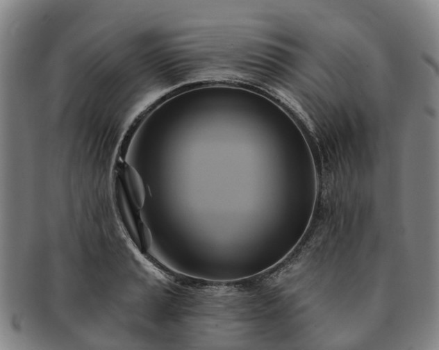 X0000091591037200708271239