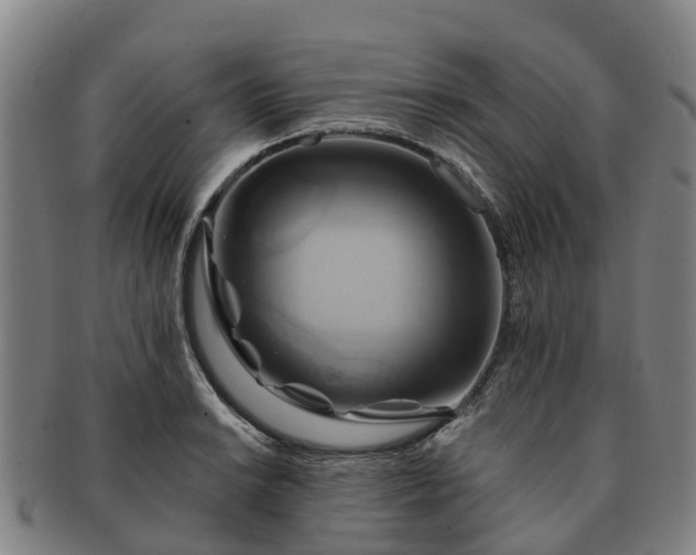 X0000091591038200708271239