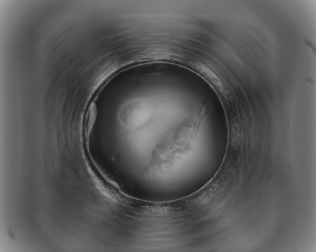 X0000091591039200708271239