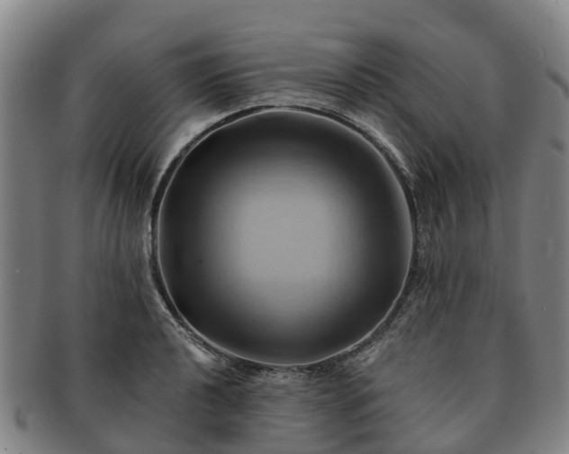 X0000091591040200708271239