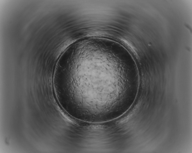 X0000091591041200708271239