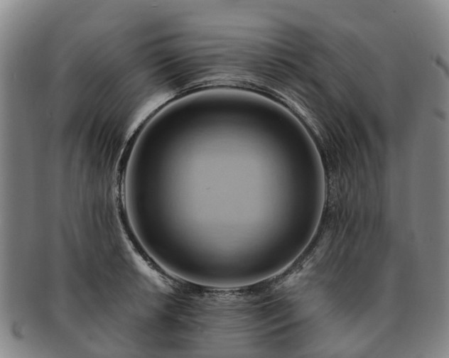 X0000091591042200708271239