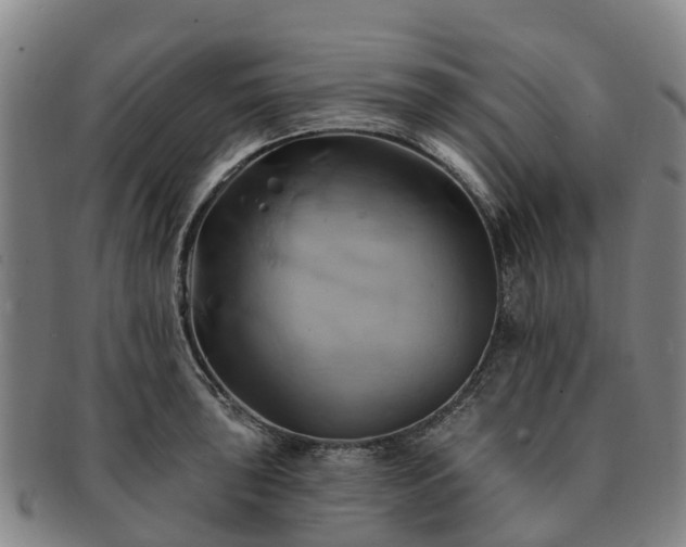 X0000091591043200708271239