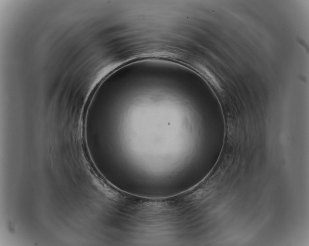 X0000091591044200708271239