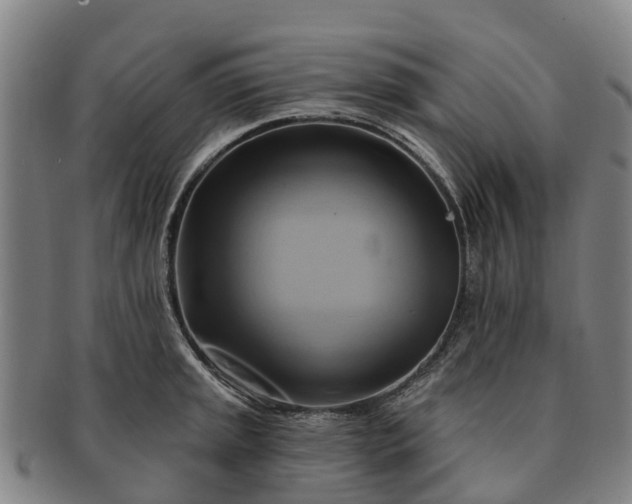 X0000091591045200708271239