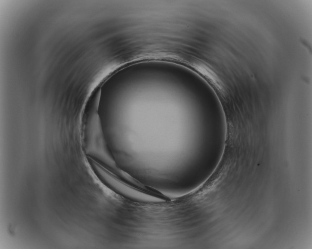 X0000091591046200708271239