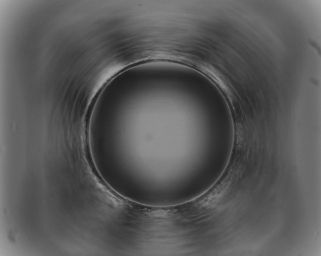 X0000091591048200708271239