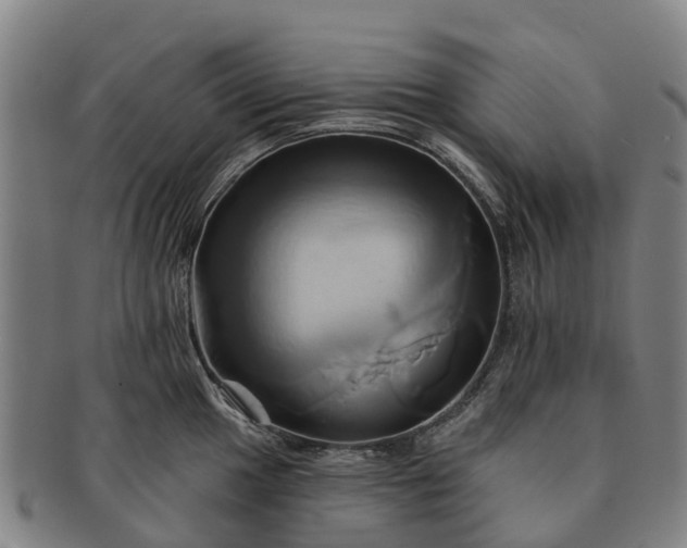 X0000091591049200708271239