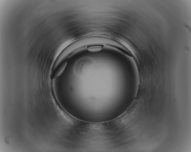 X0000091591050200708271239