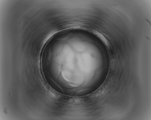 X0000091591051200708271239