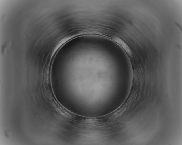 X0000091591052200708271239