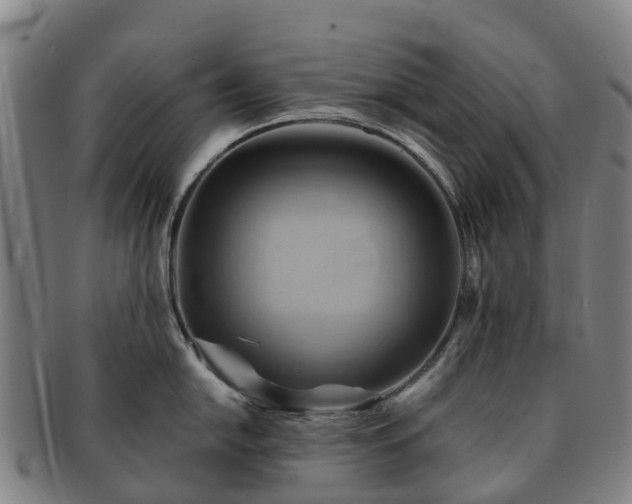 X0000091591054200708271239