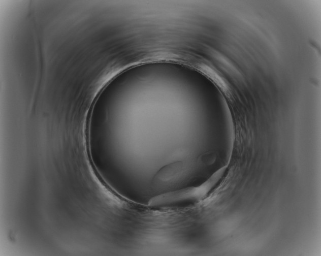 X0000091591055200708271239
