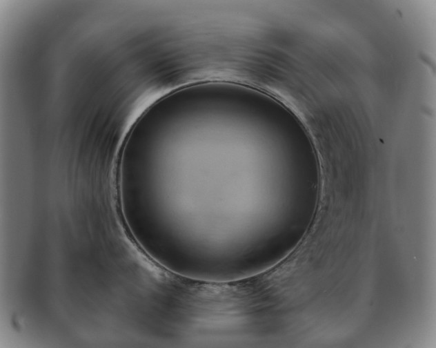 X0000091591056200708271239