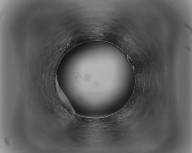 X0000091591057200708271238